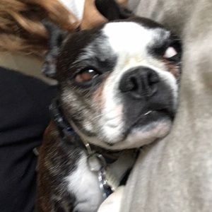 Meet your Posher, Meredith